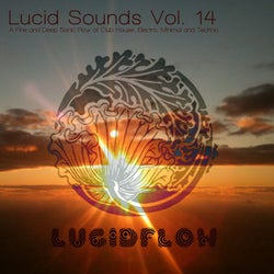Lucid Sounds, Vol. 14 - A Fine and Deep Sonic Flow of Club House, Electro, Minimal and Techno
