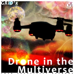 Drone in the Multiverse