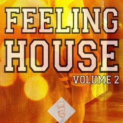 Feeling House, Vol. 2