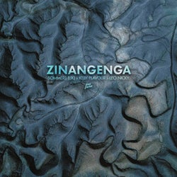 Zinangenga (Extended Mix)