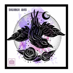 Dreamer Bird
