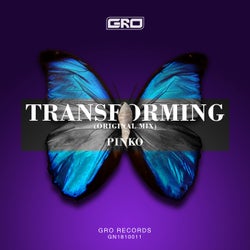 Transforming (Original Mix?