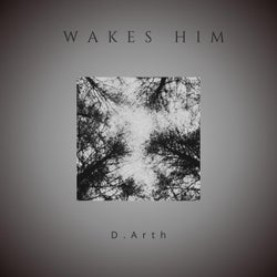 Wakes Him (Original mix)