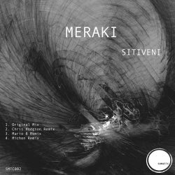 MERAKI CHART