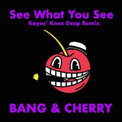 See What You See (Kayos' Knee Deep Remix)