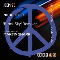 Black Sky Remixes