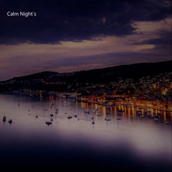 Calm Night's (Remix)