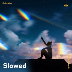 Flight Risk - Slowed + Reverb