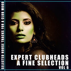 Expert Clubheads: A Fine Selection, Vol. 6