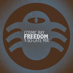 Freedom (Y-So-Late Mix)