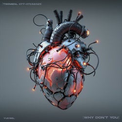 Why Don't You (Extended Mix)