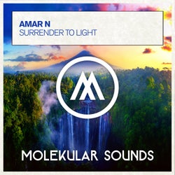 Surrender To Light
