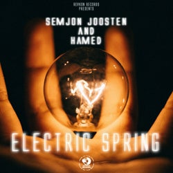 Electric Spring