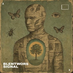 Signal