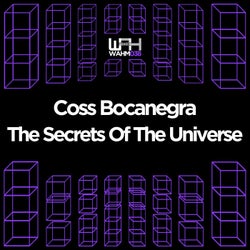 The Secrets of the Universe