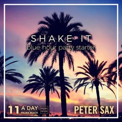 A Day @ Palma Beach 11 - Shake It (Blue Hour Party Starter Radio Edit)