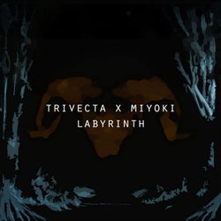Labyrinth (feat. Miyoki)