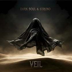 VEIL