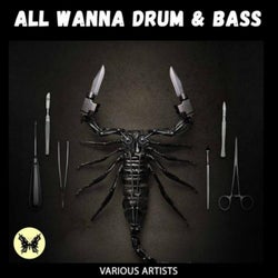 All Wanna Drum & Bass