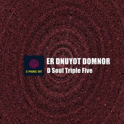 ER DNUYOT DOMNOR