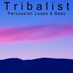 Percussion Loops & Bass