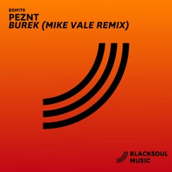 Burek (Mike Vale Remix)