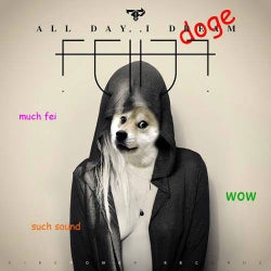 all day i doge