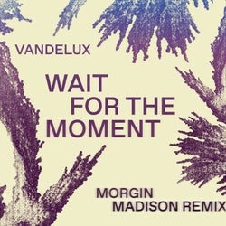 Wait For The Moment - Morgin Madison Remix