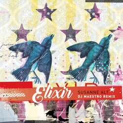 Elixir (DJ Maestro Remix)