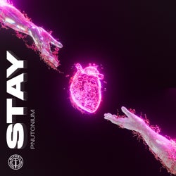 Stay