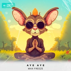 Aye Aye