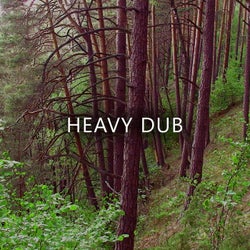 Heavy Dub