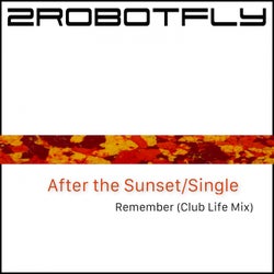 Remember (Club Life Mix)