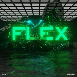 FLEX (feat. Baby Dami)