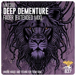 Fader (Extended Mix)