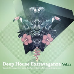 Deep House Extravaganza Vol. 12