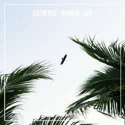 Ambient Light