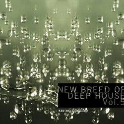 New Breed Of Deep House Vol. 5