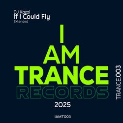 If I Could Fly