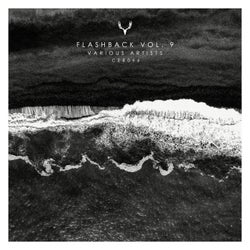 Flashback Vol. 9