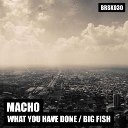 What You Have Done / Big Fish