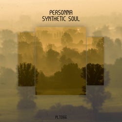 Synthetic Soul EP