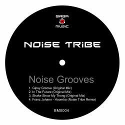 Noise Grooves