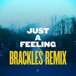 Just a Feeling (Brackles Remix)