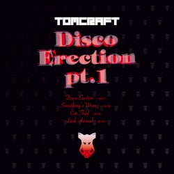 Disco Erection Part 1