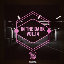 In the Dark, Vol. 14