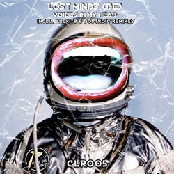 Voices in my head EP
