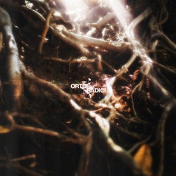 ORTO / RADICI (crescita)