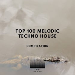 Top 100 Melodic Techno House