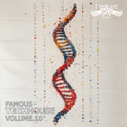 Famous Techhouse, Vol. 10